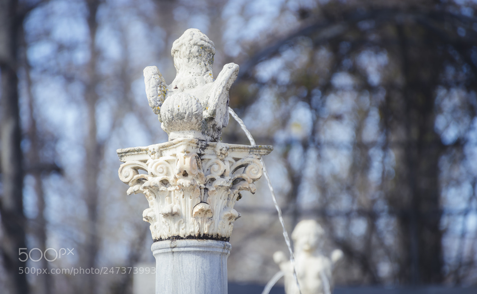 Sony a7 sample photo. Gardens of the city photography