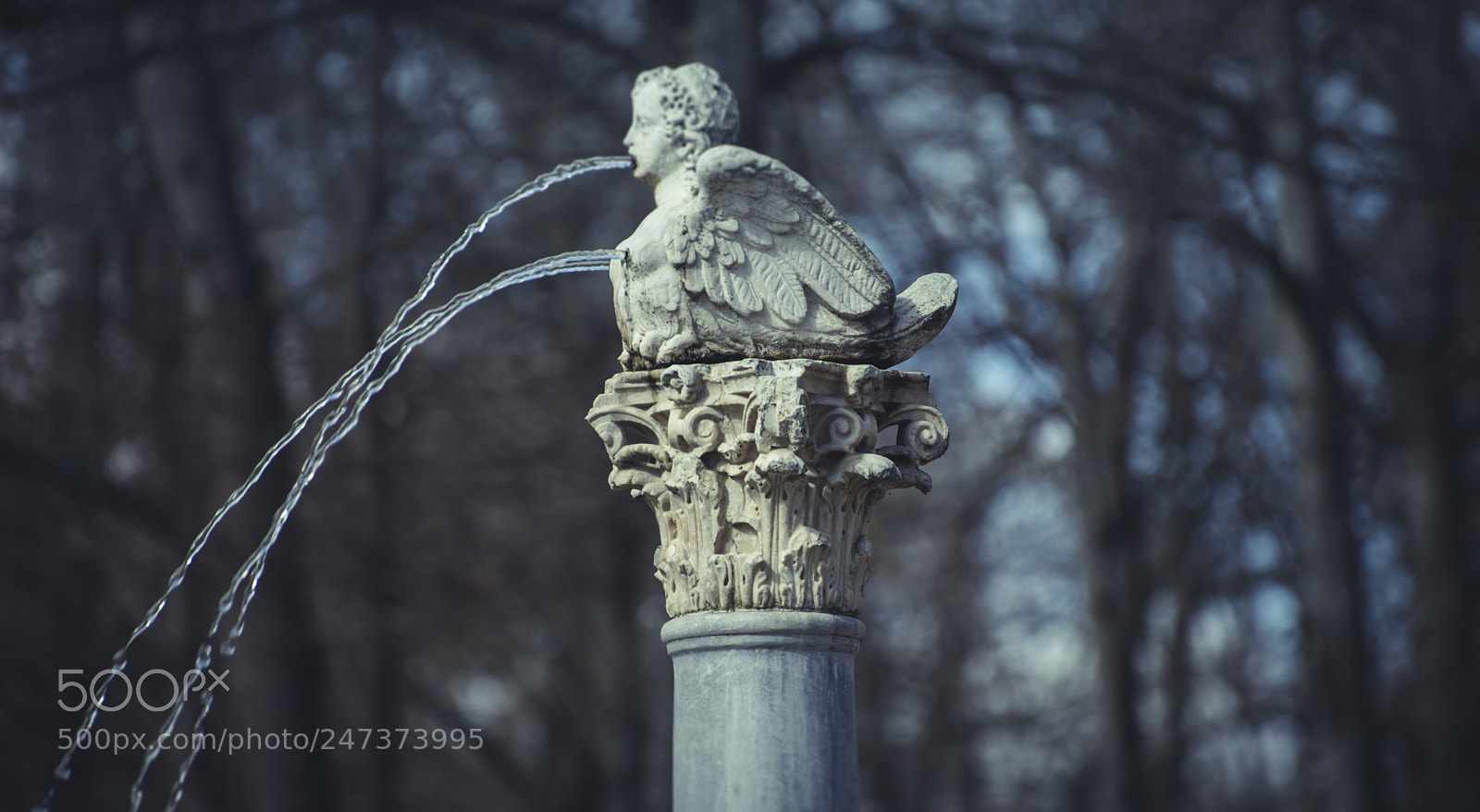 Sony a7 sample photo. Angel, water fountains with photography
