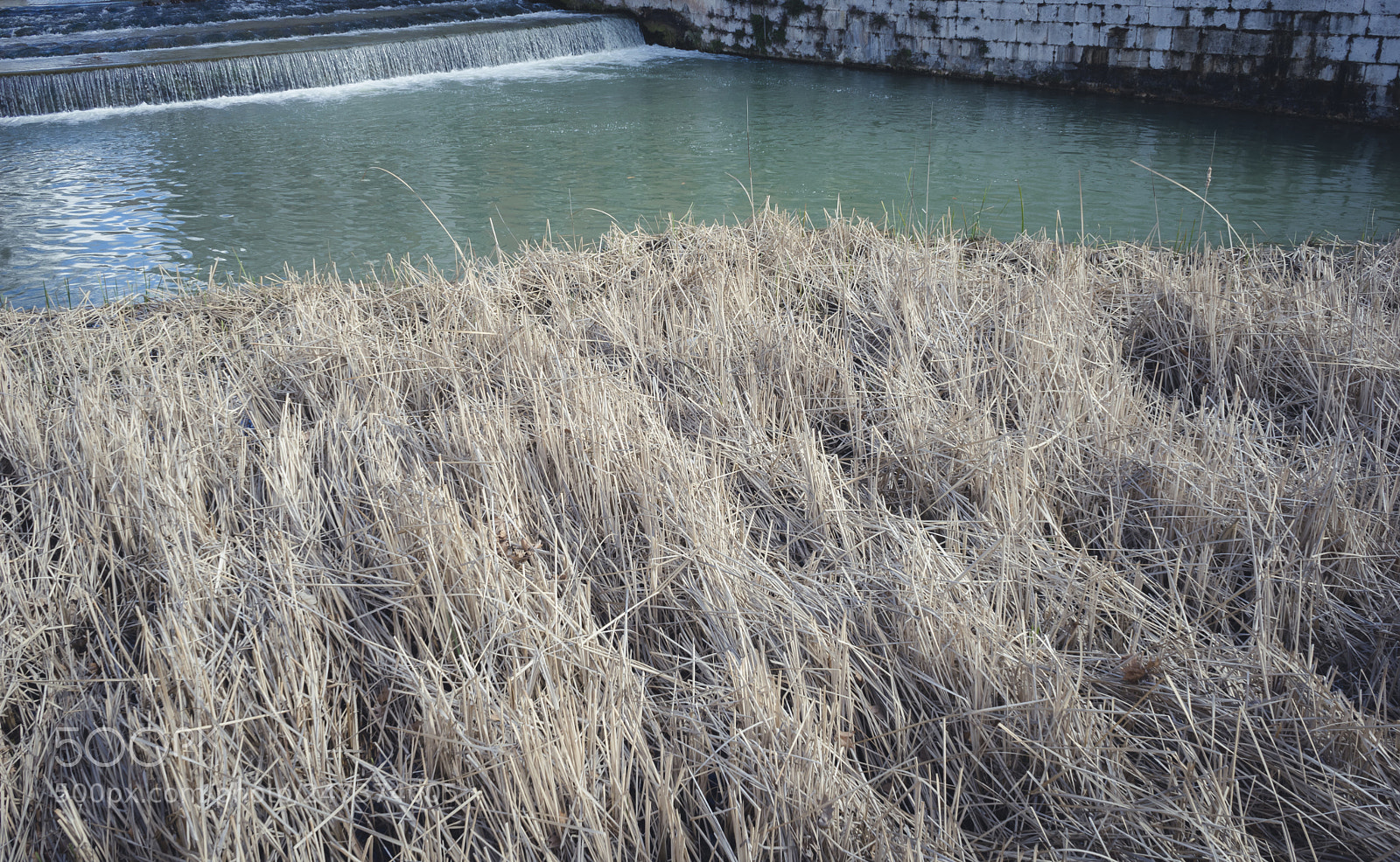 Sony a7 sample photo. Gardens of the city photography