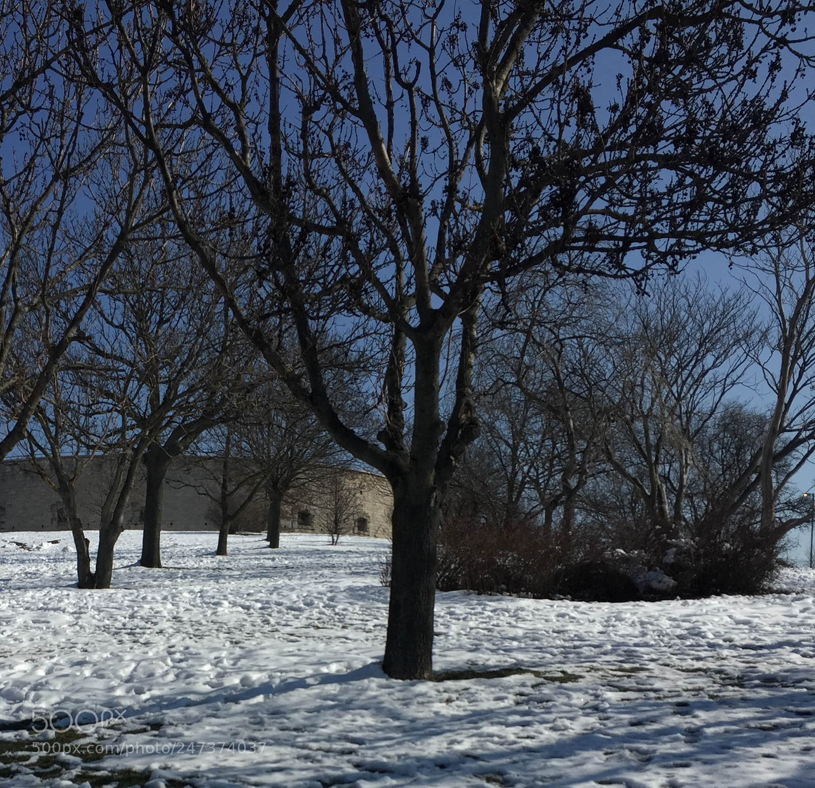 Apple iPhone 6 sample photo. Snow photography