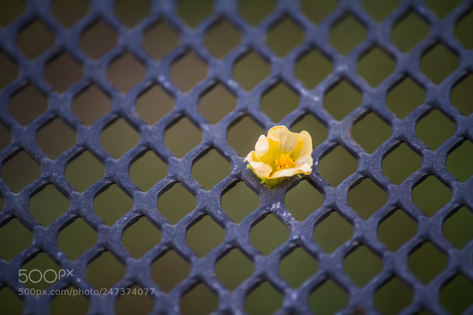 Canon EOS 7D sample photo. Juxtaposition photography
