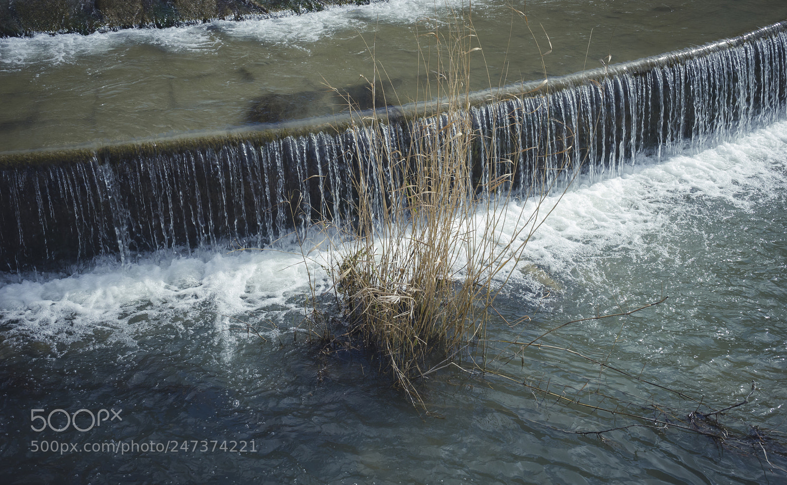Sony a7 sample photo. Gardens of the city photography