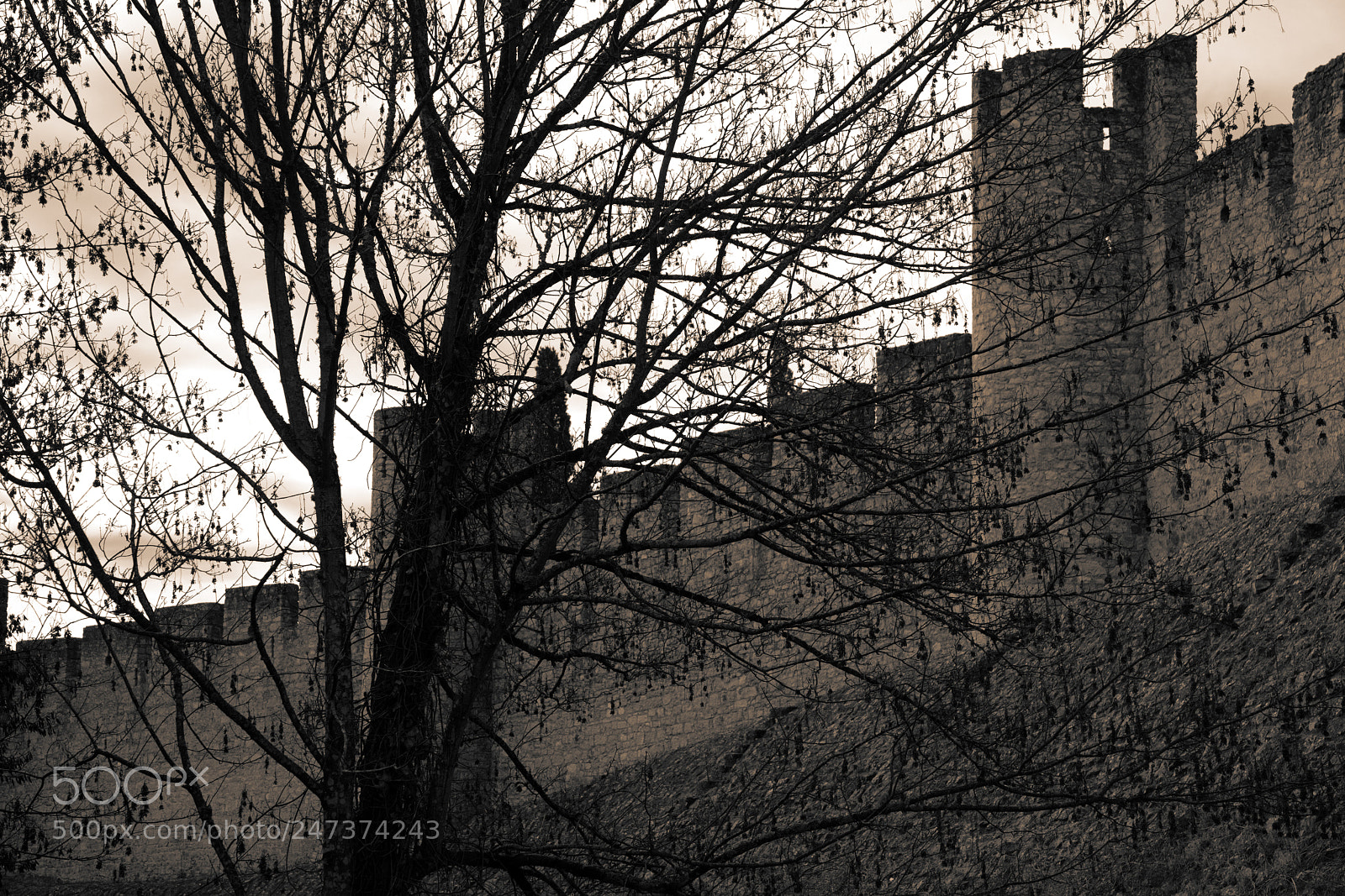 Sony a7R II sample photo. Tomar castle - portugal photography