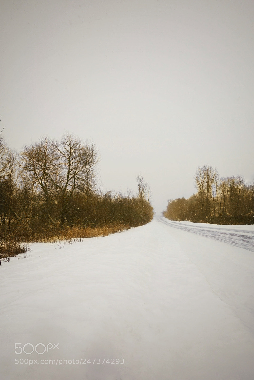 Sony DSC-RX100M5 sample photo. Winter tales photography