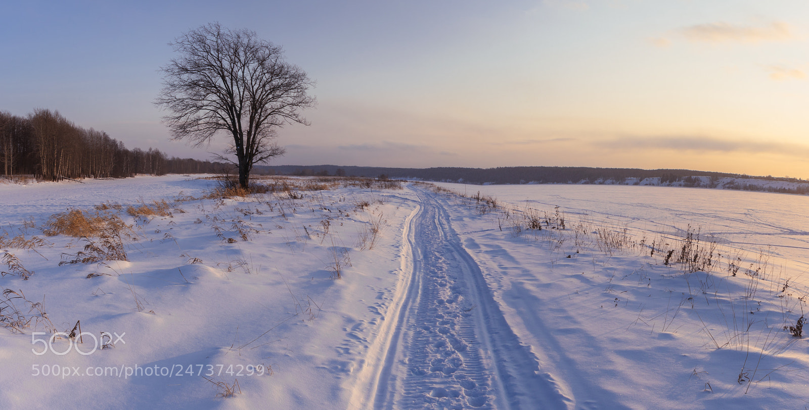 Nikon D5500 sample photo. Winter evening photography