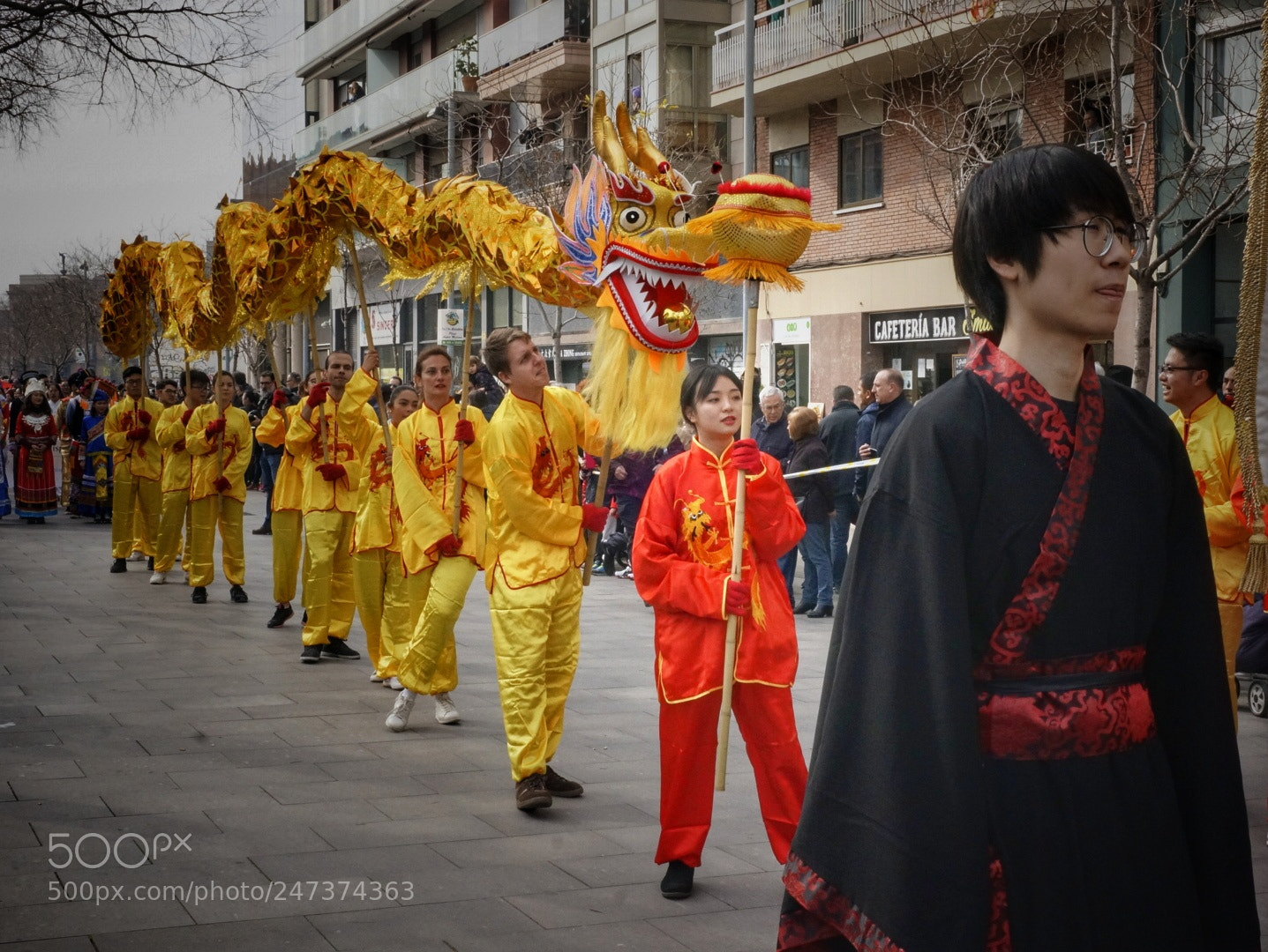 Sony Alpha NEX-6 sample photo. Dragon photography