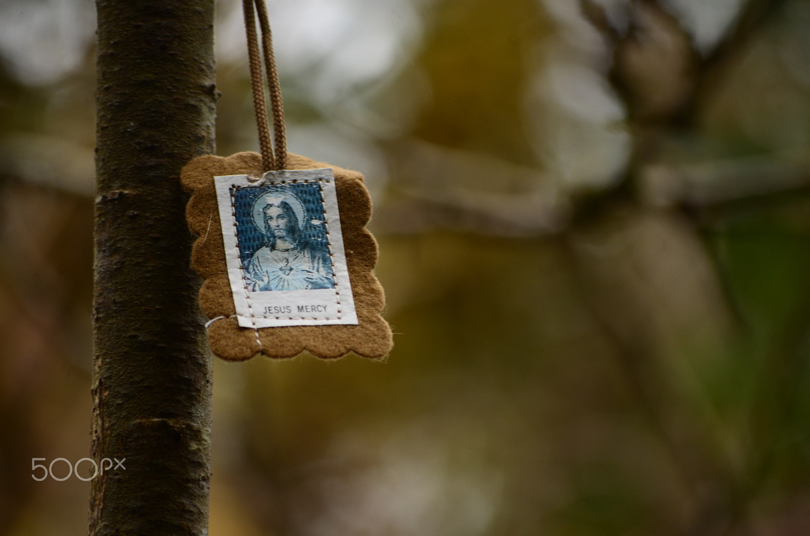 Nikon D7000 sample photo. Holy scapular at holy well in the burren photography