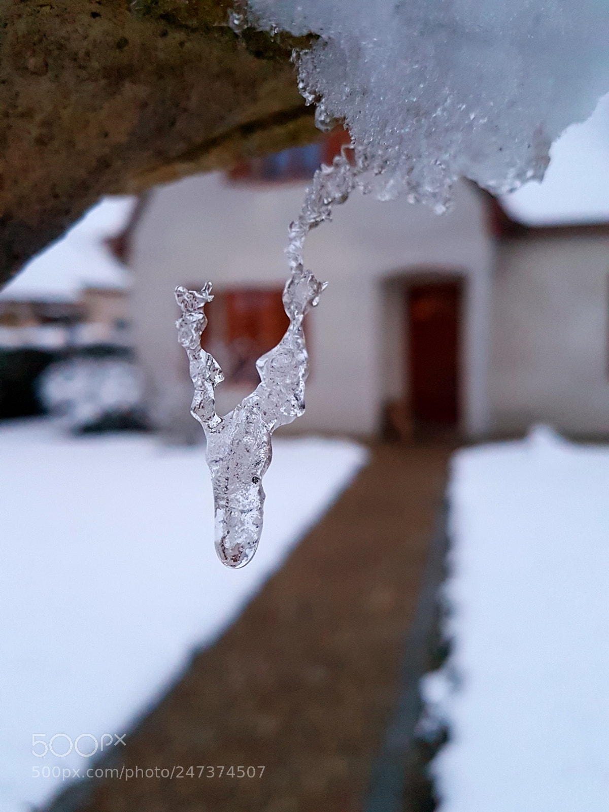 Samsung Galaxy S7 Edge sample photo. Untitled photography