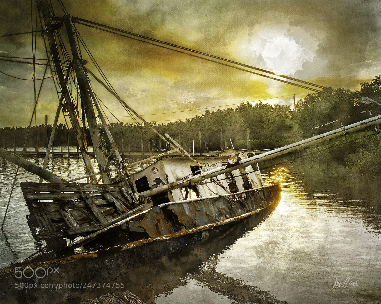 Nikon D800 sample photo. Placida wreck photography