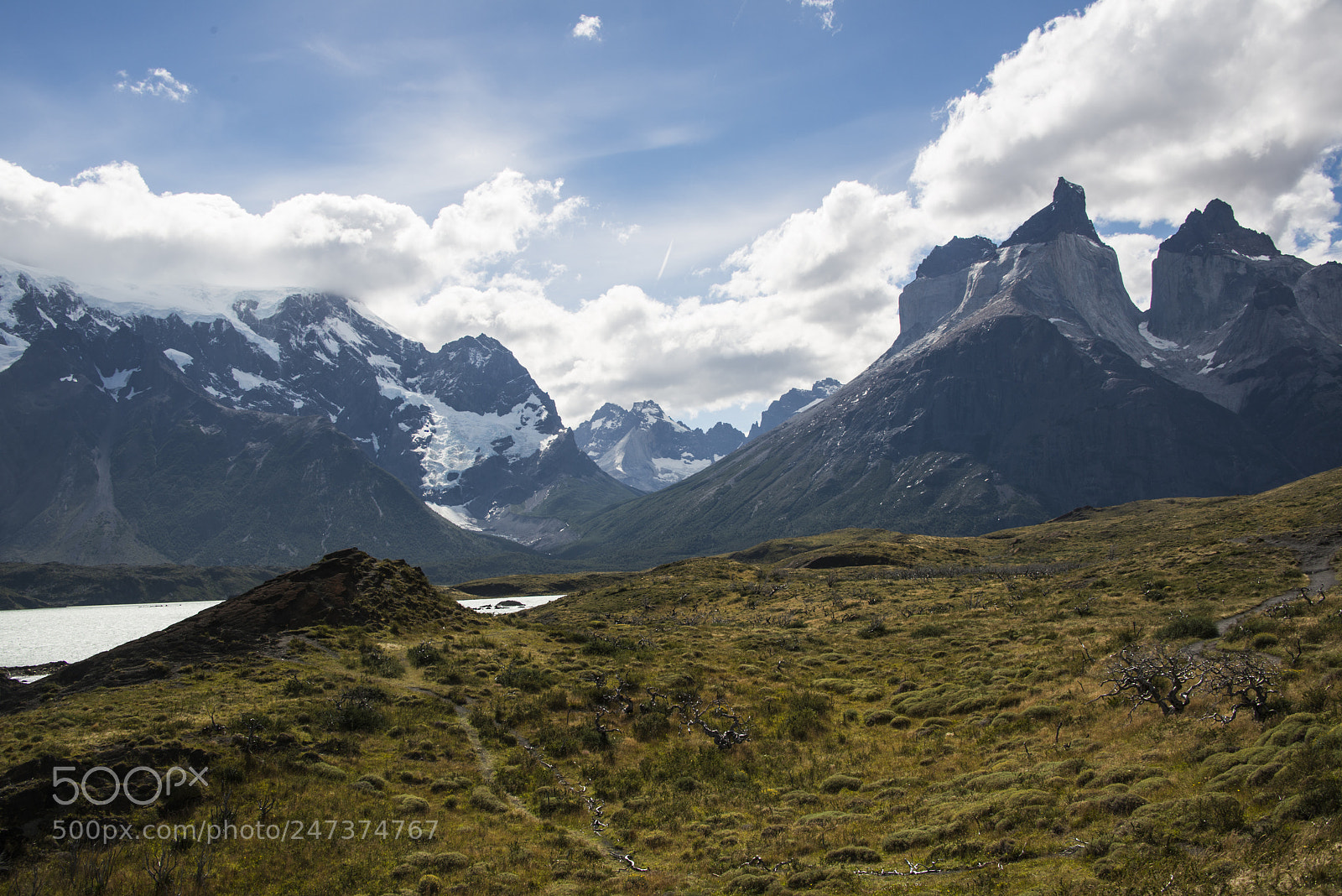 Nikon D800 sample photo. Patagonia rogi photography