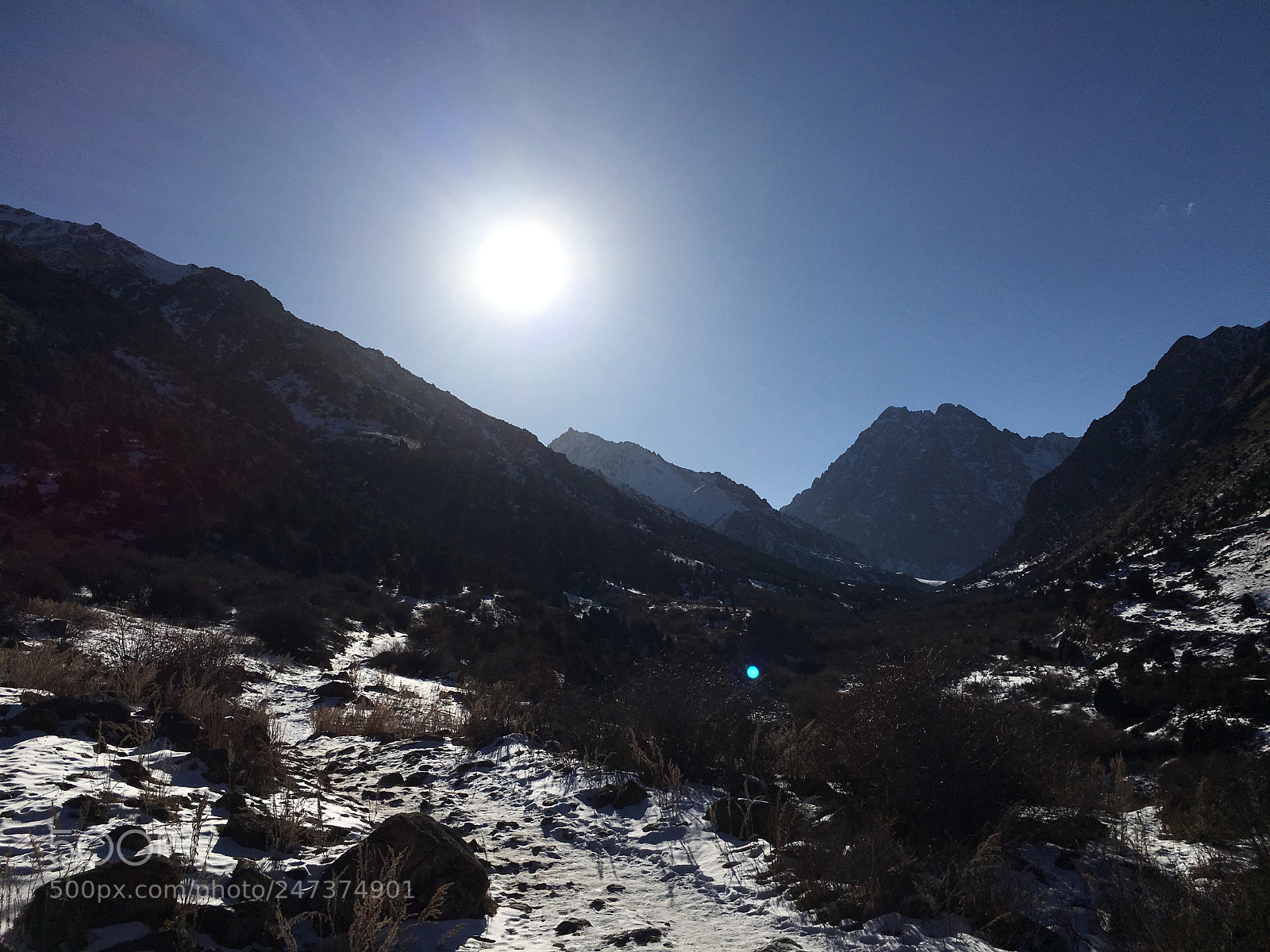 Apple iPhone 6s sample photo. Img6 photography