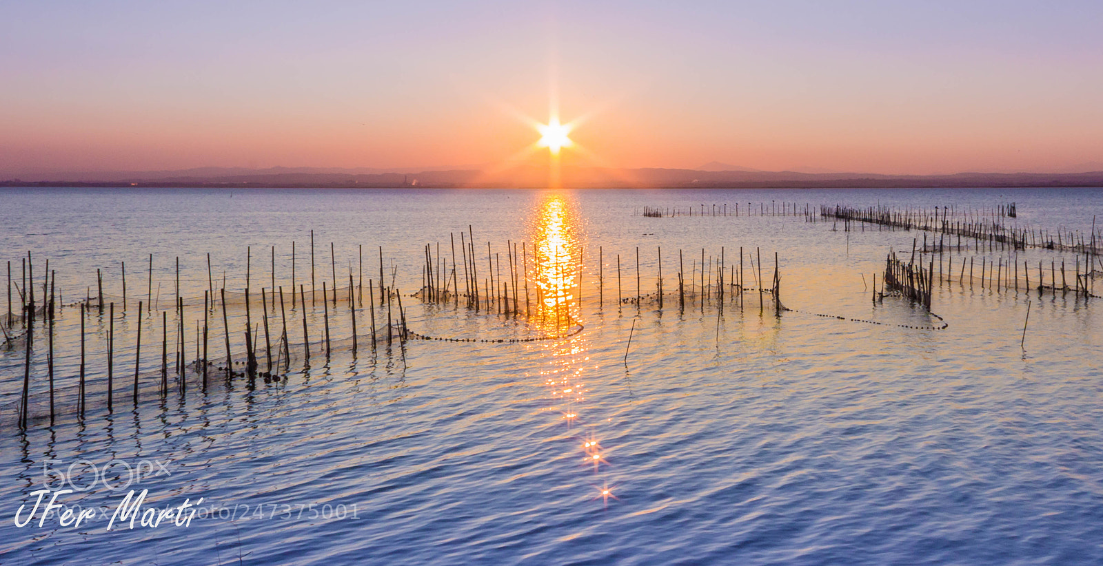 Canon EOS 60D sample photo. Reflejos de la albufera photography
