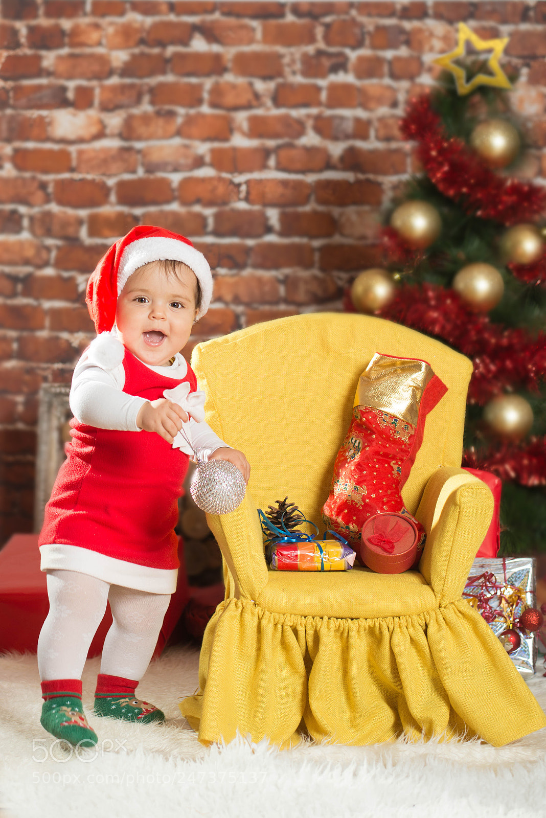 Nikon D800 sample photo. Christmas photography