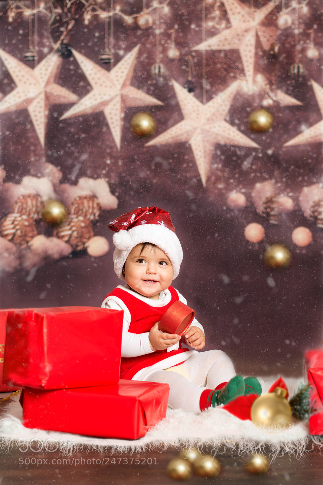 Nikon D800 sample photo. Christmas photography