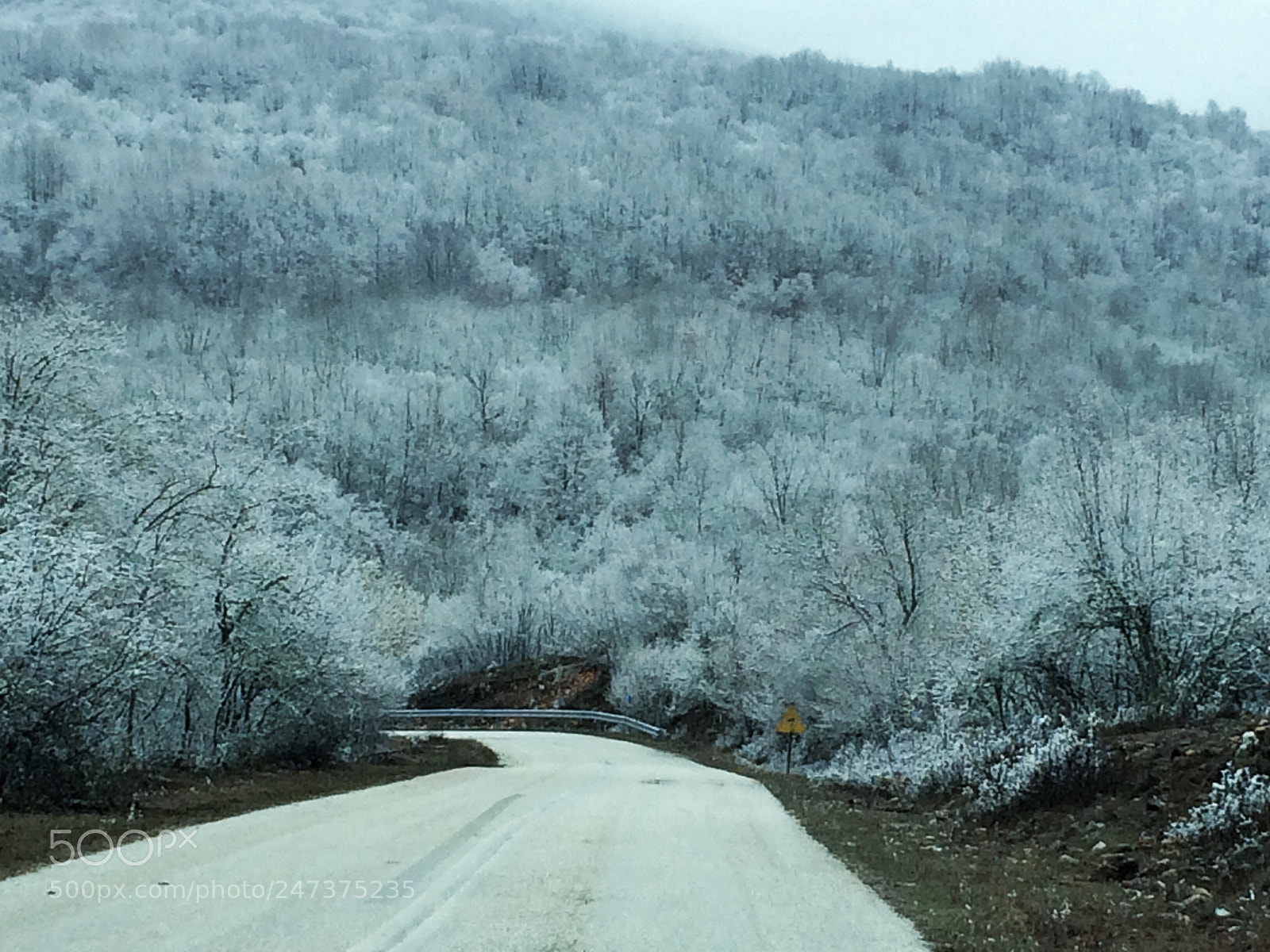 Apple iPhone 5s sample photo. Beautiful winter wonderland with photography
