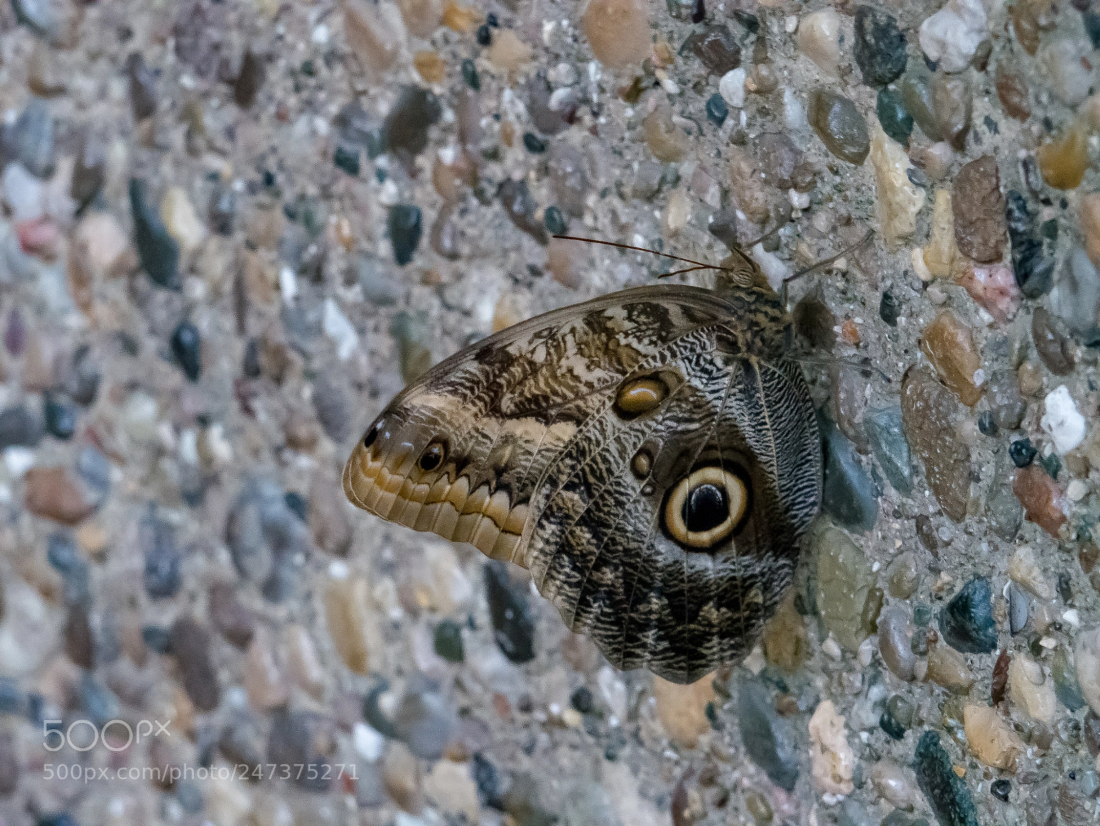 Panasonic Lumix DMC-G85 (Lumix DMC-G80) sample photo. One week in photography
