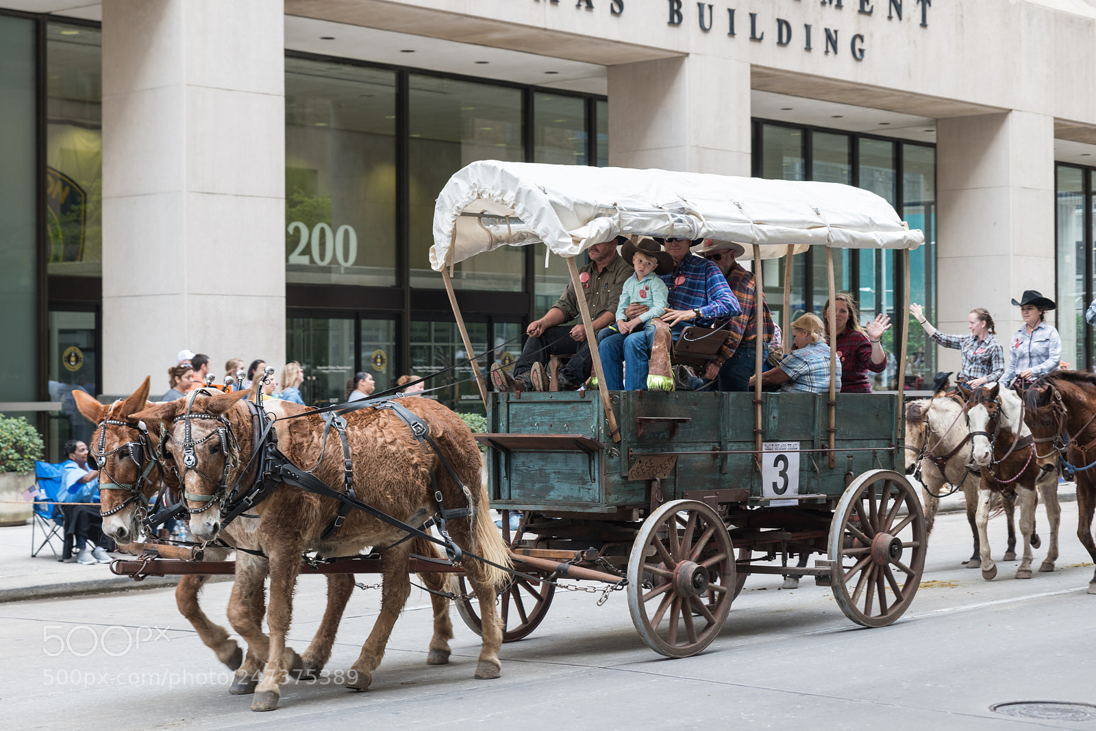 Nikon D850 sample photo. Houston rodeo parade 2018 photography