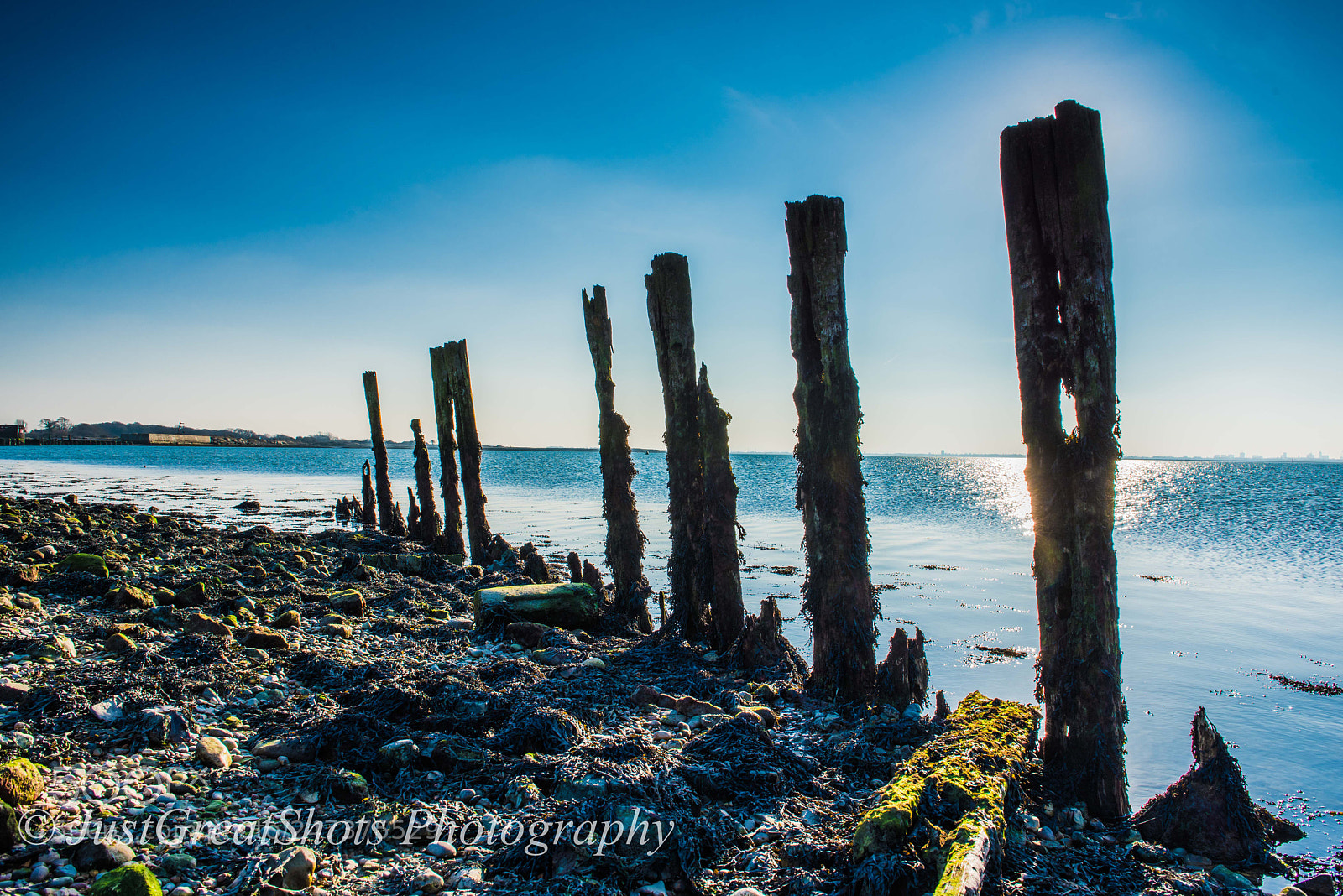 Nikon D810 sample photo. Incoming tide langstone photography
