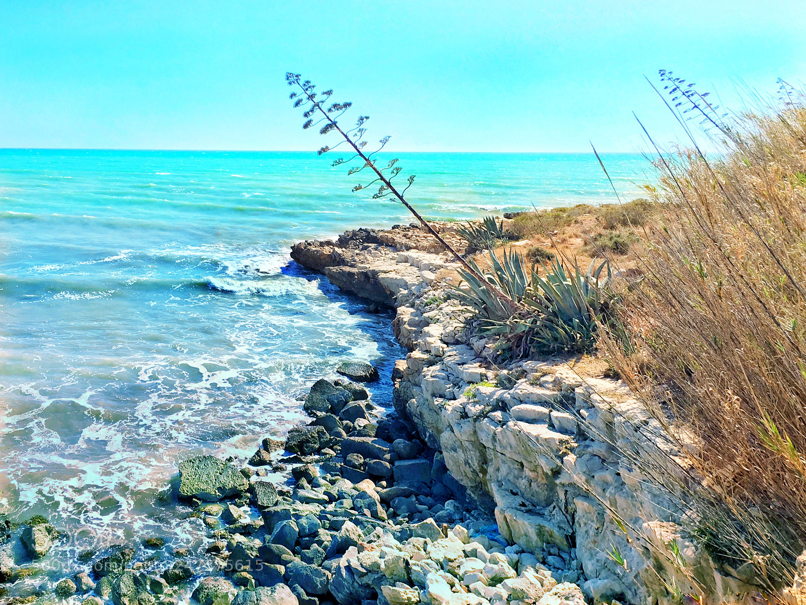 Apple iPad Pro sample photo. Happy blues photography