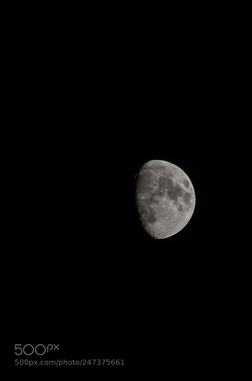 Pentax K-5 sample photo. Untitled photography
