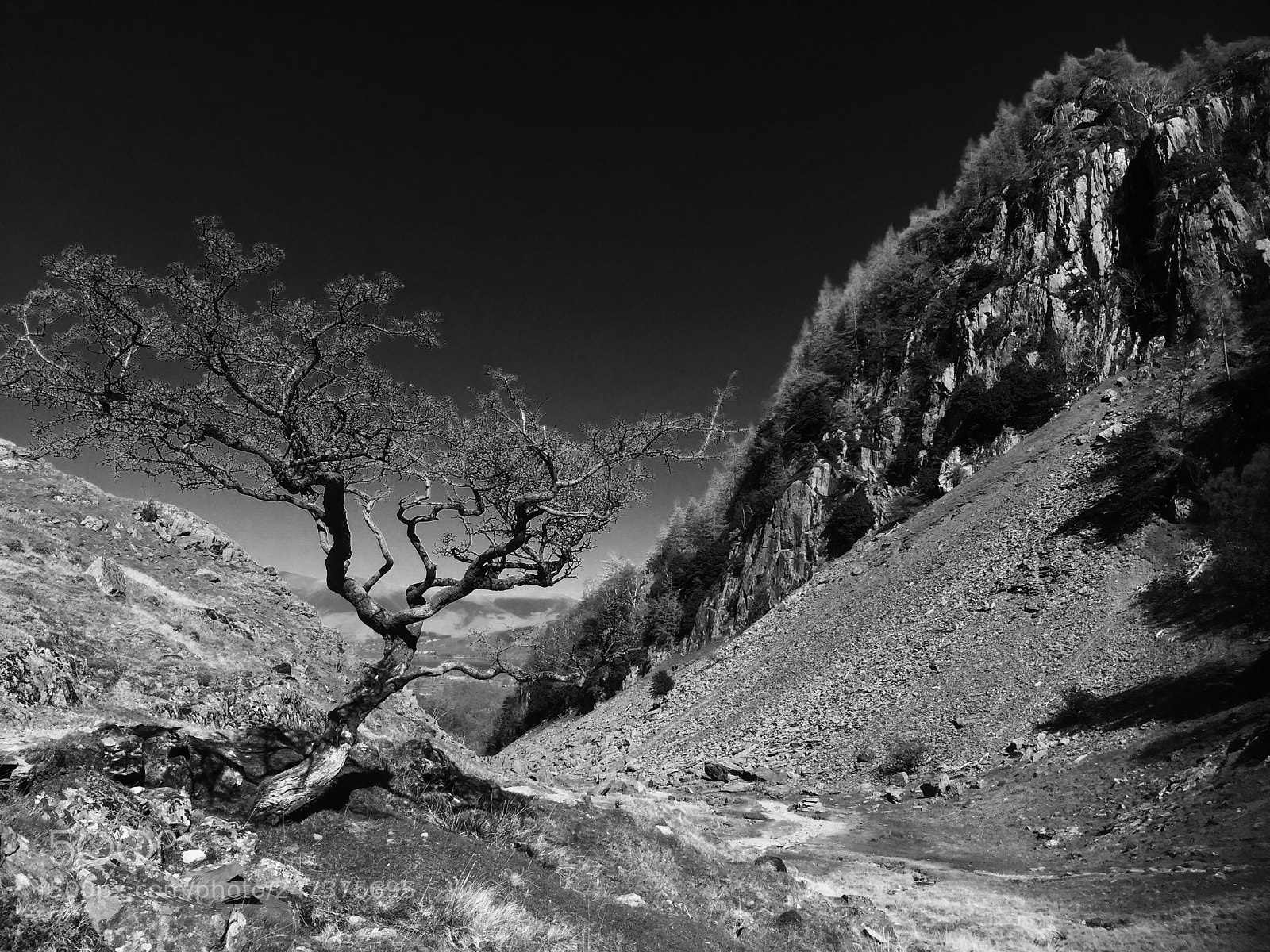 Apple iPhone 6 sample photo. Castle crag photography