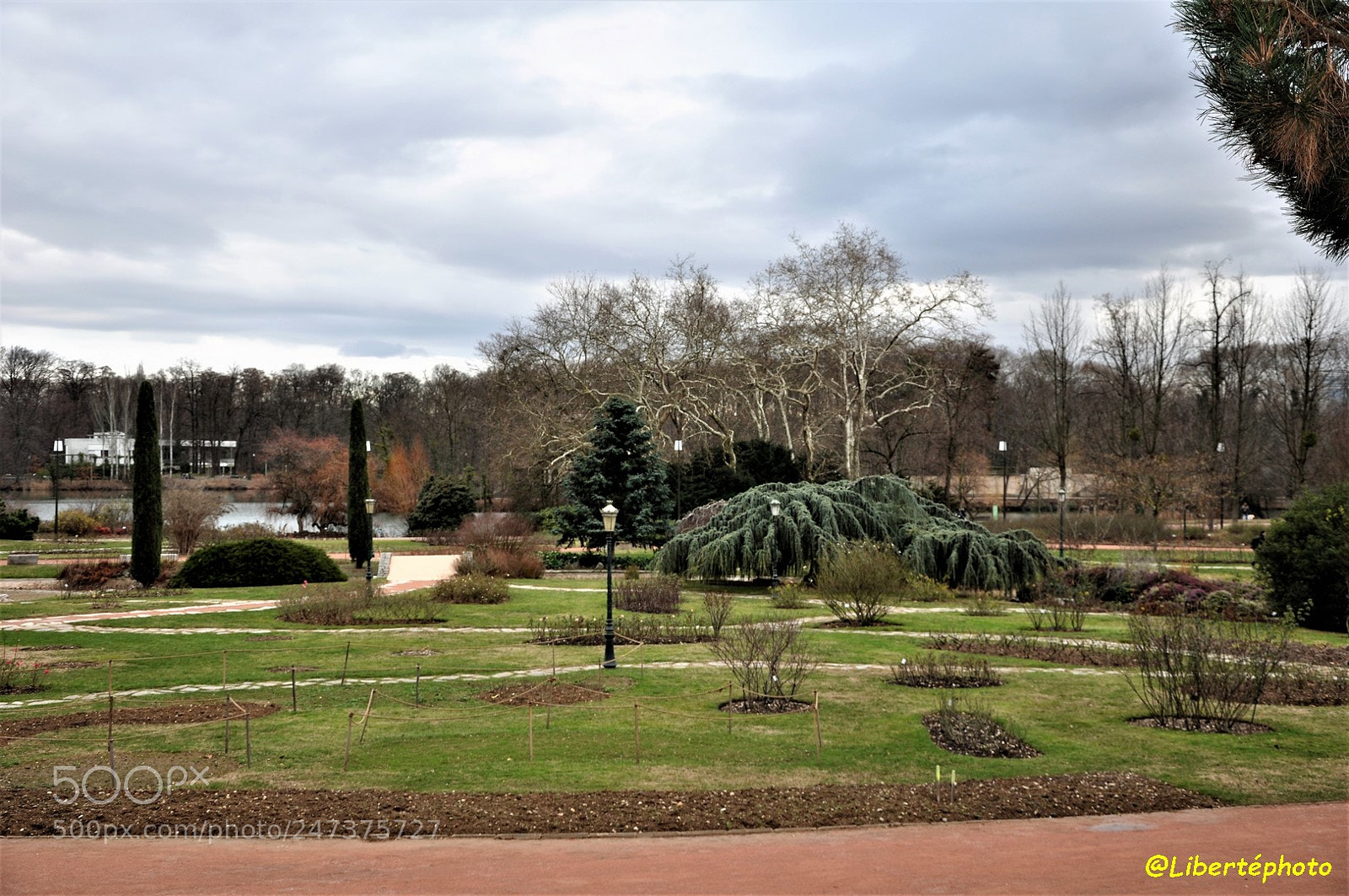 Nikon D90 sample photo. Parc de la t photography