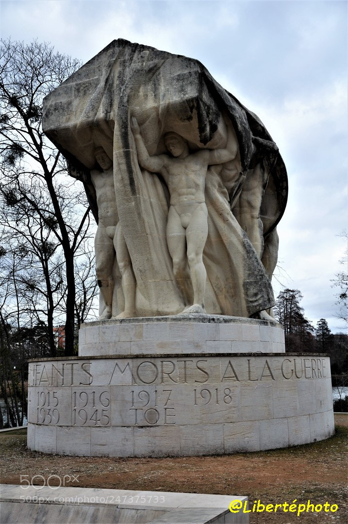 Nikon D90 sample photo. Parc de la t photography
