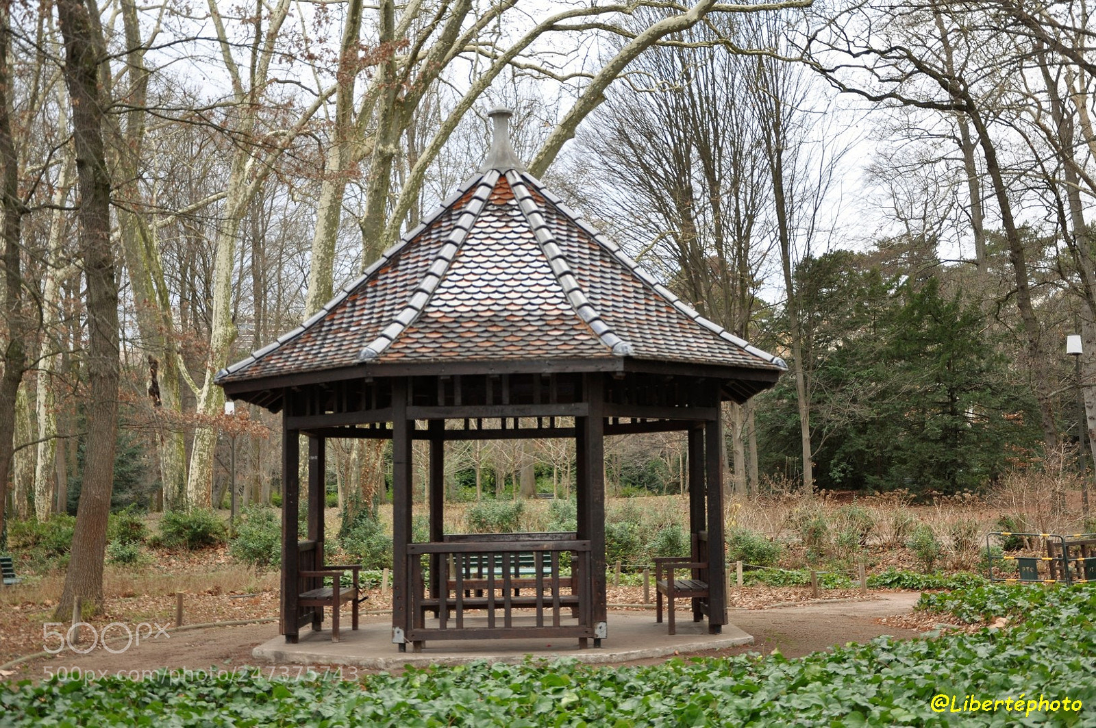 Nikon D90 sample photo. Parc de la t photography