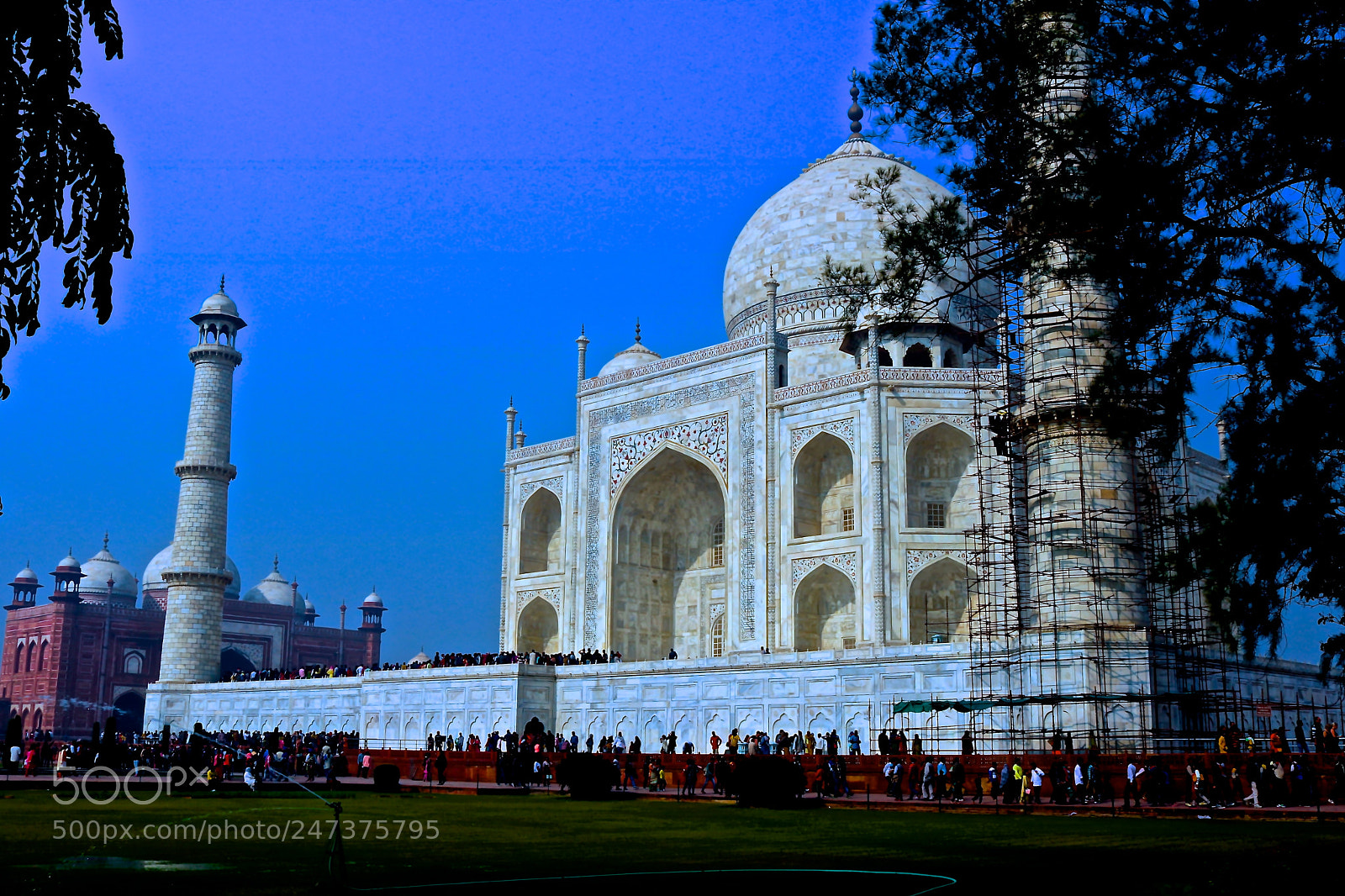 Canon EOS 750D (EOS Rebel T6i / EOS Kiss X8i) sample photo. The taj mahal photography