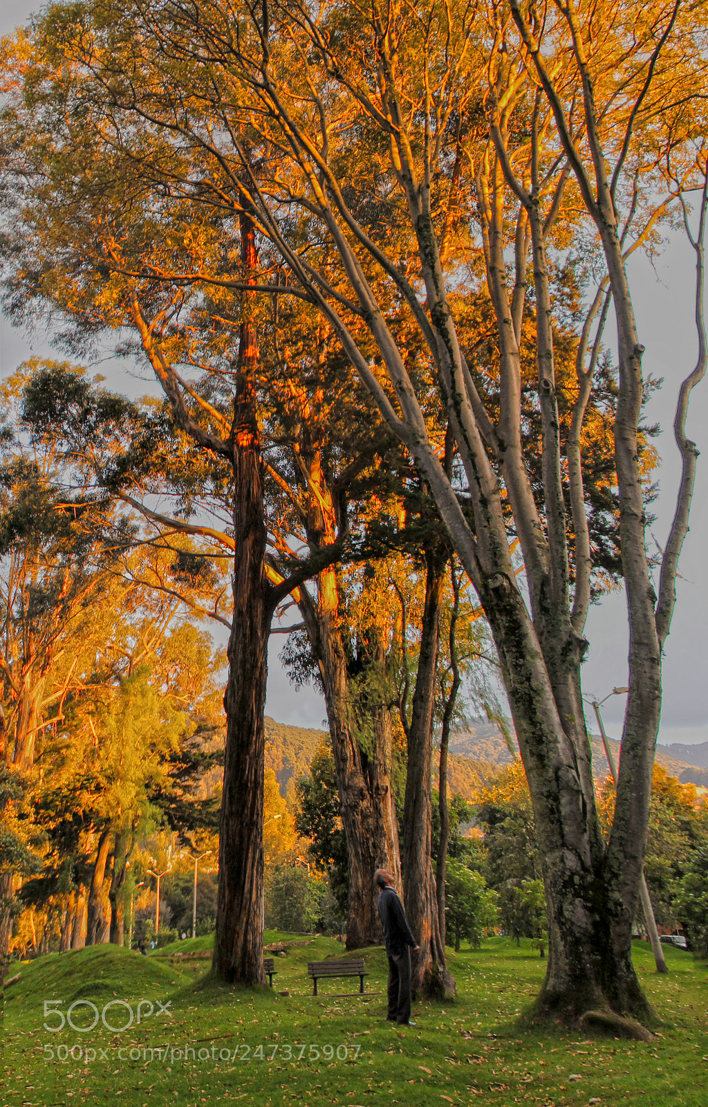 Canon EOS 60D sample photo. Highrd photography