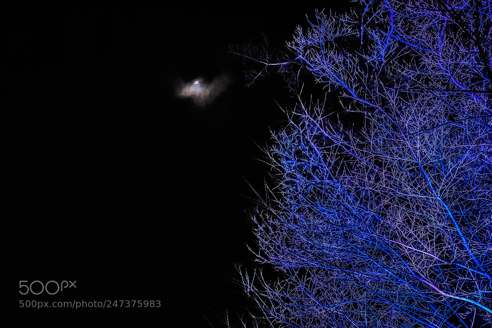 Fujifilm X-T2 sample photo. Iruma saitama today photography