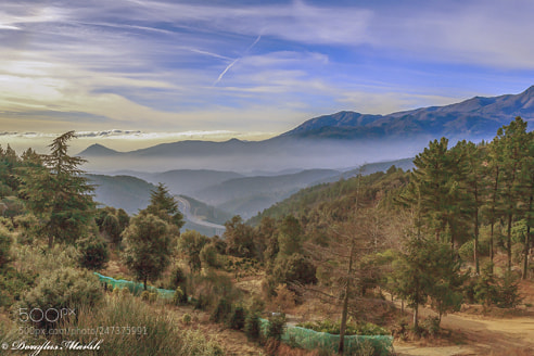 Canon EOS 5D sample photo. Mountain mist photography