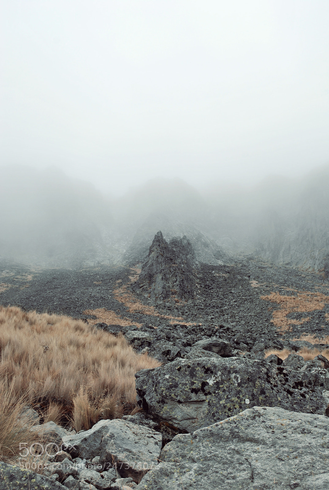 Nikon D3000 sample photo. Nevado de toluca photography