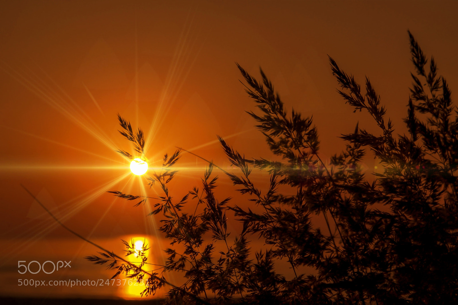 Nikon D90 sample photo. Sunrise on baltic sea photography