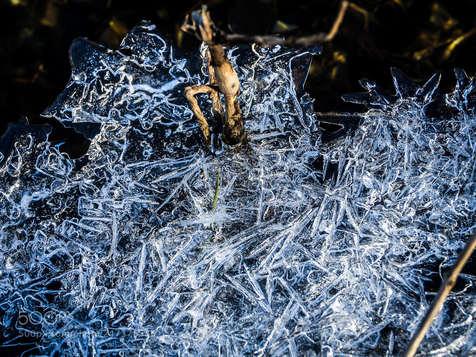 Olympus OM-D E-M10 sample photo. Winter has finally arrived photography