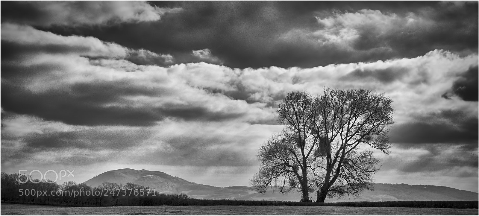 Sony Alpha DSLR-A100 sample photo. Winter landscape photography