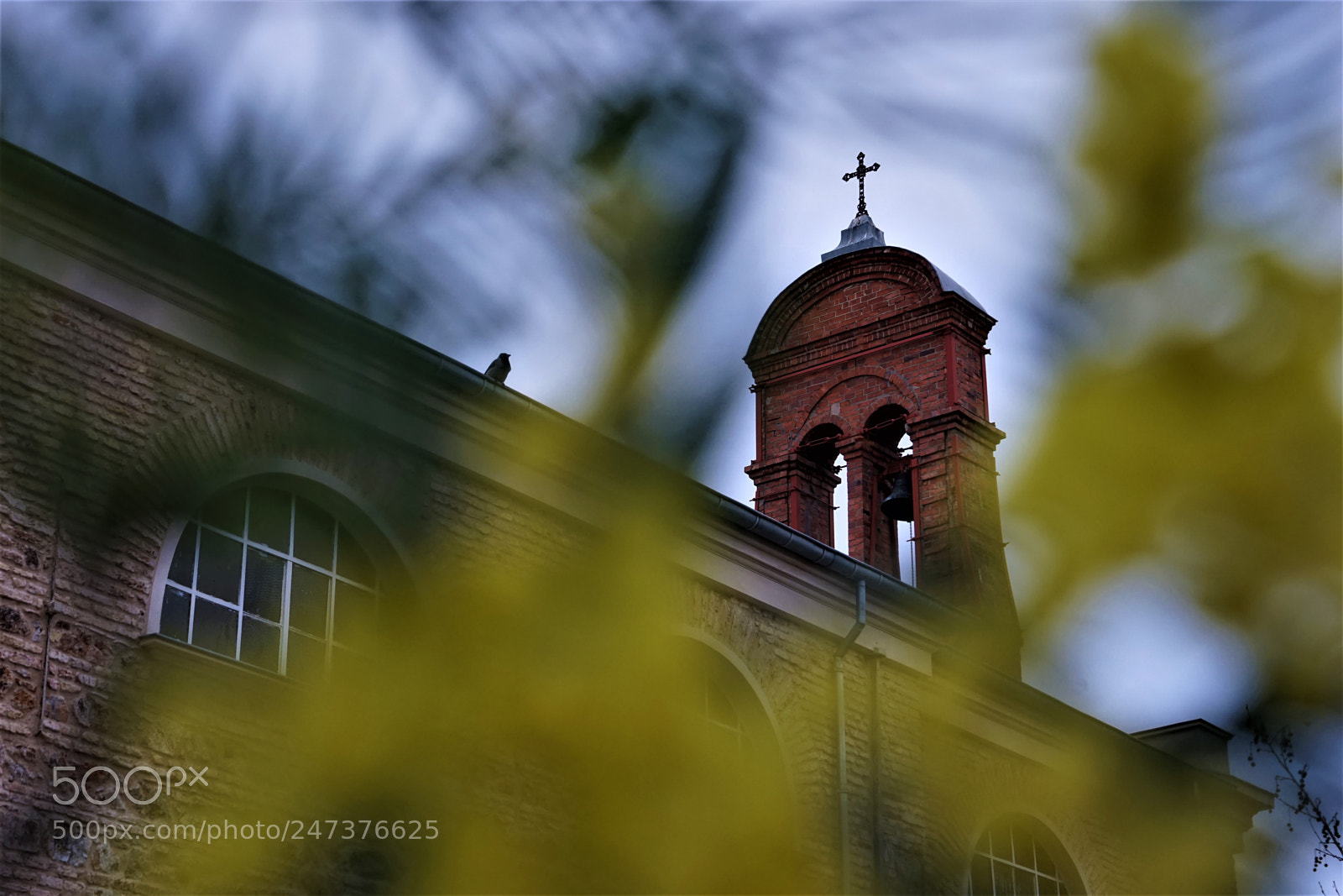 Sony a7 sample photo. Adalarda İlkbahar photography