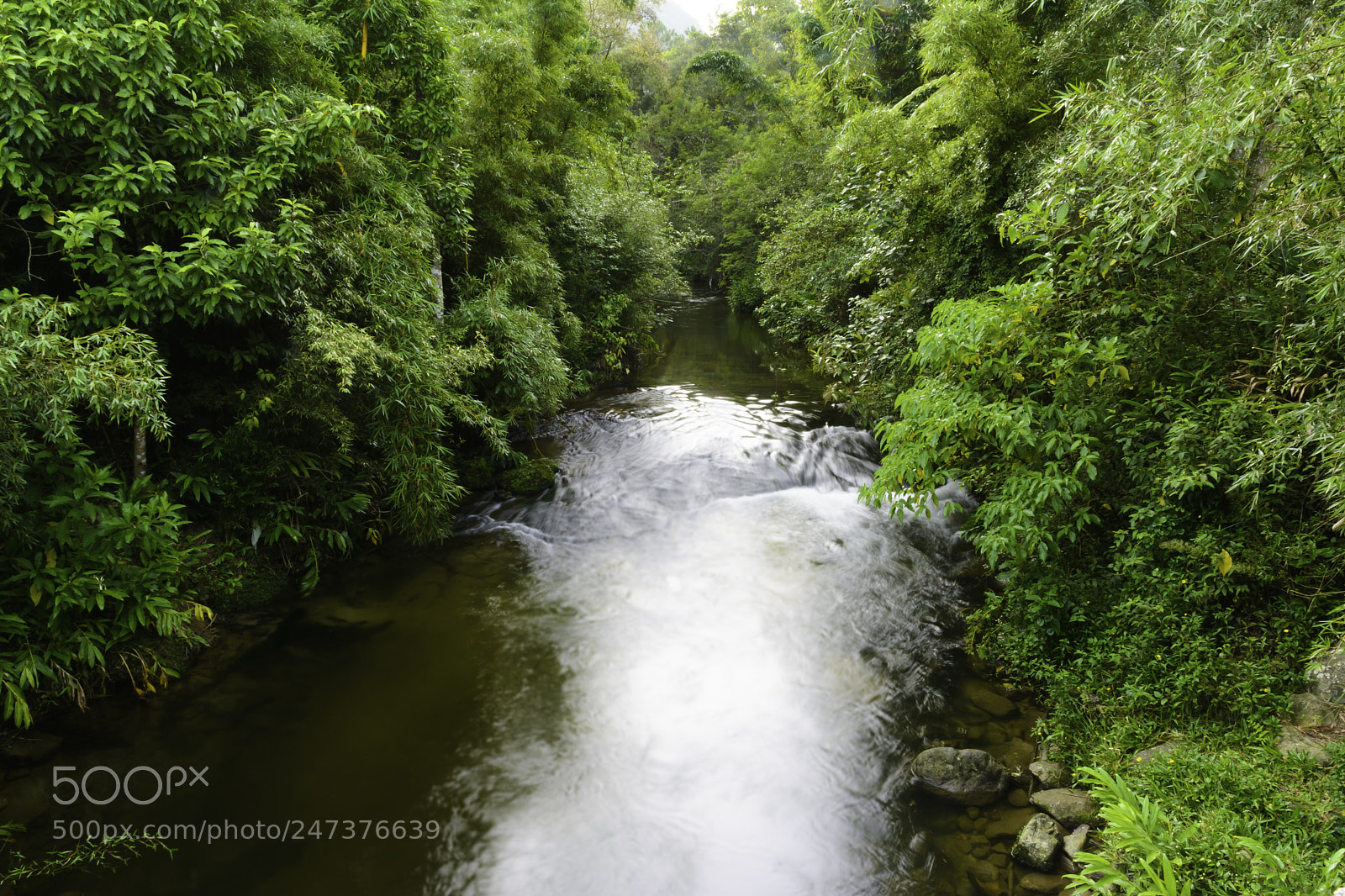 Nikon D7100 sample photo. Bach photography