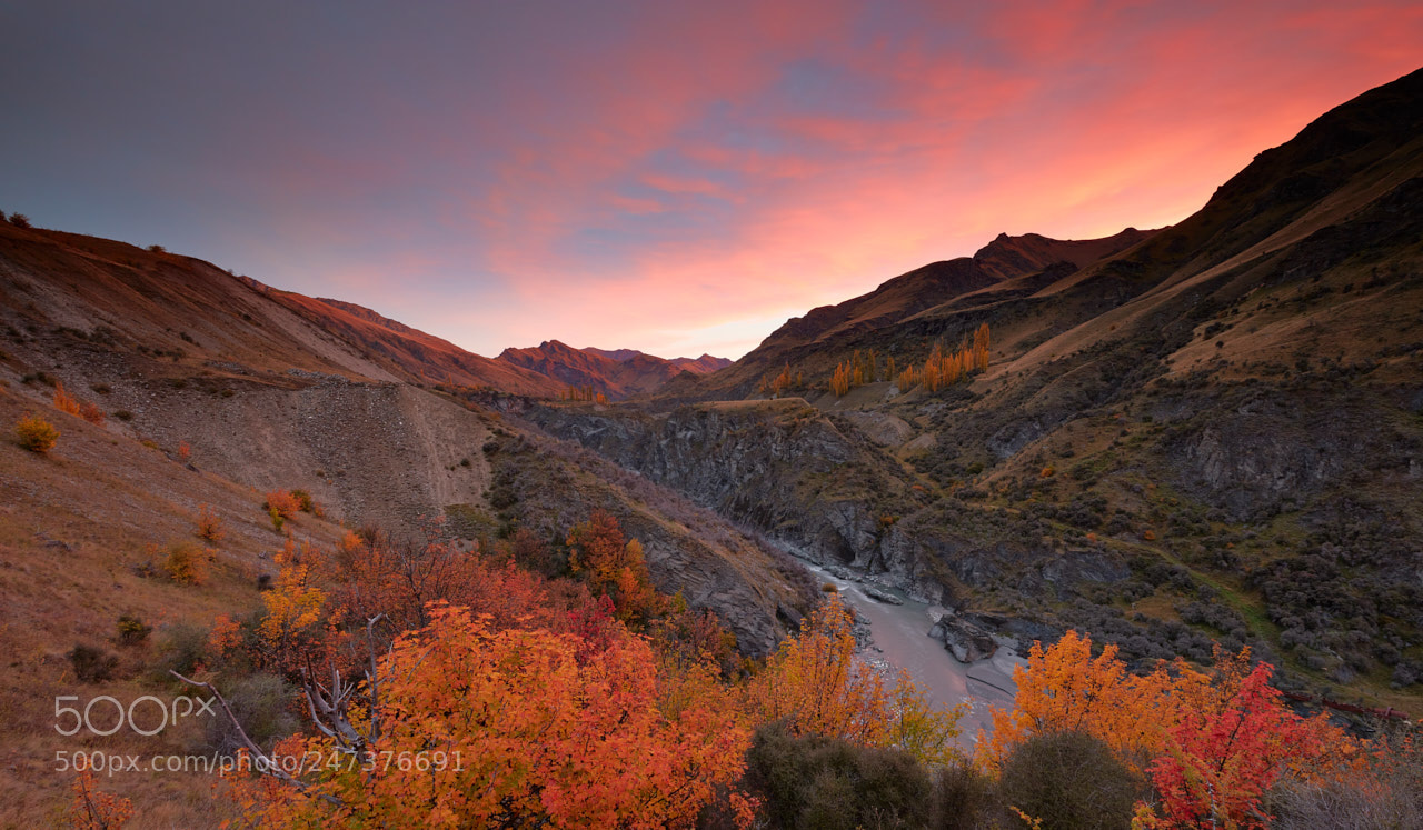Canon EOS 5DS R sample photo. Autumn colors photography
