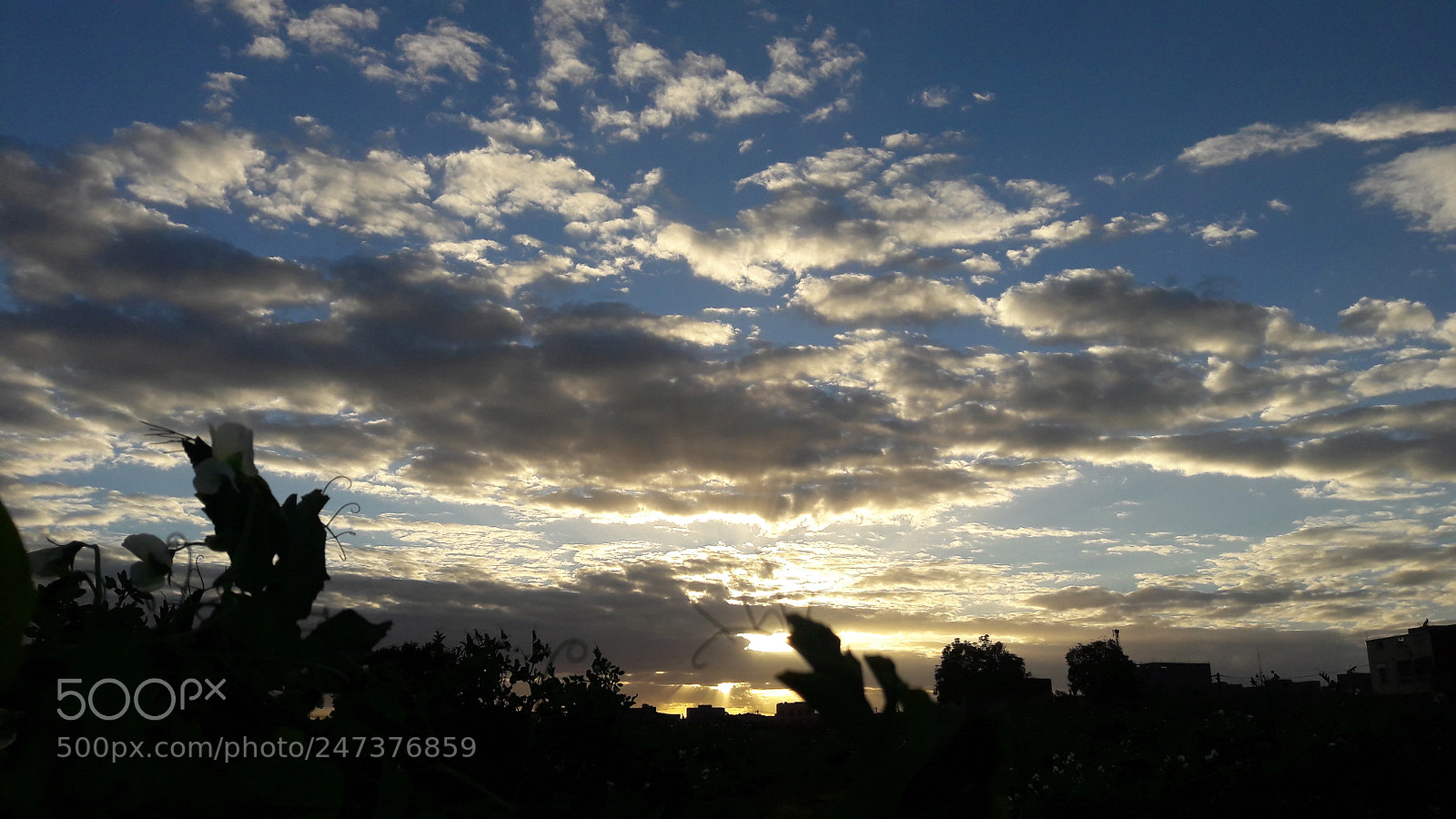Samsung Galaxy J7 sample photo. In the sky photography
