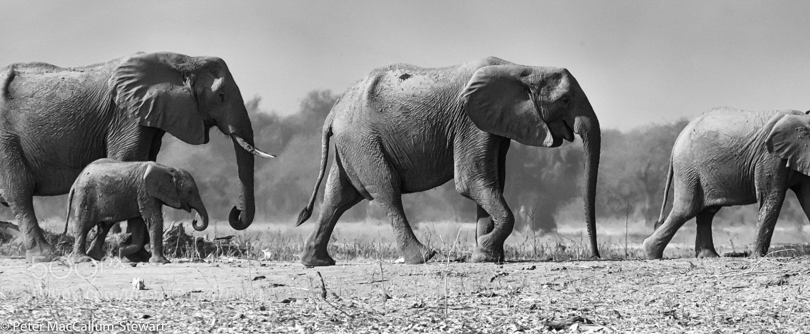 Olympus OM-D E-M1 sample photo. On the move photography