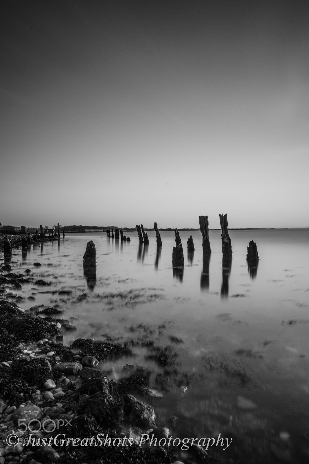 Nikon D810 sample photo. Still standing photography