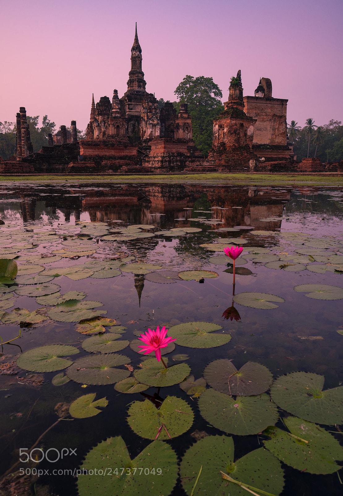 Sony a7R II sample photo. ...early morning @ sukothai... photography