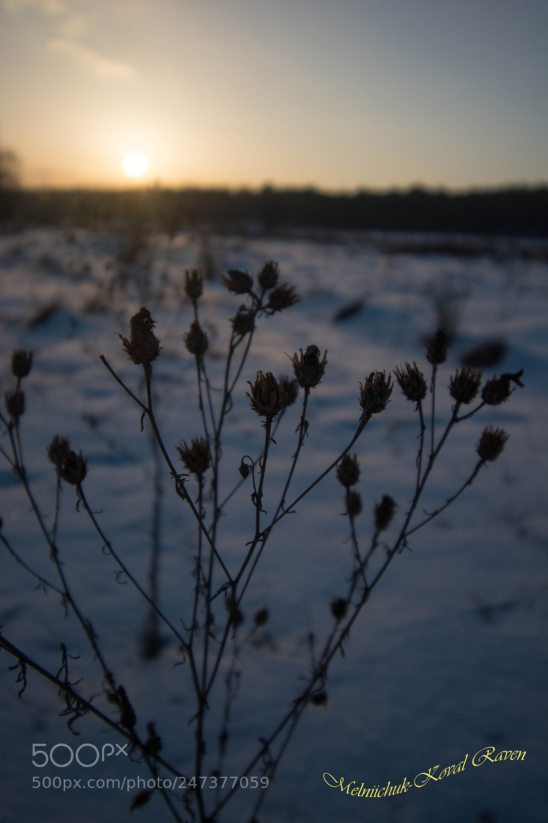 Nikon D5200 sample photo. Background sunset photography