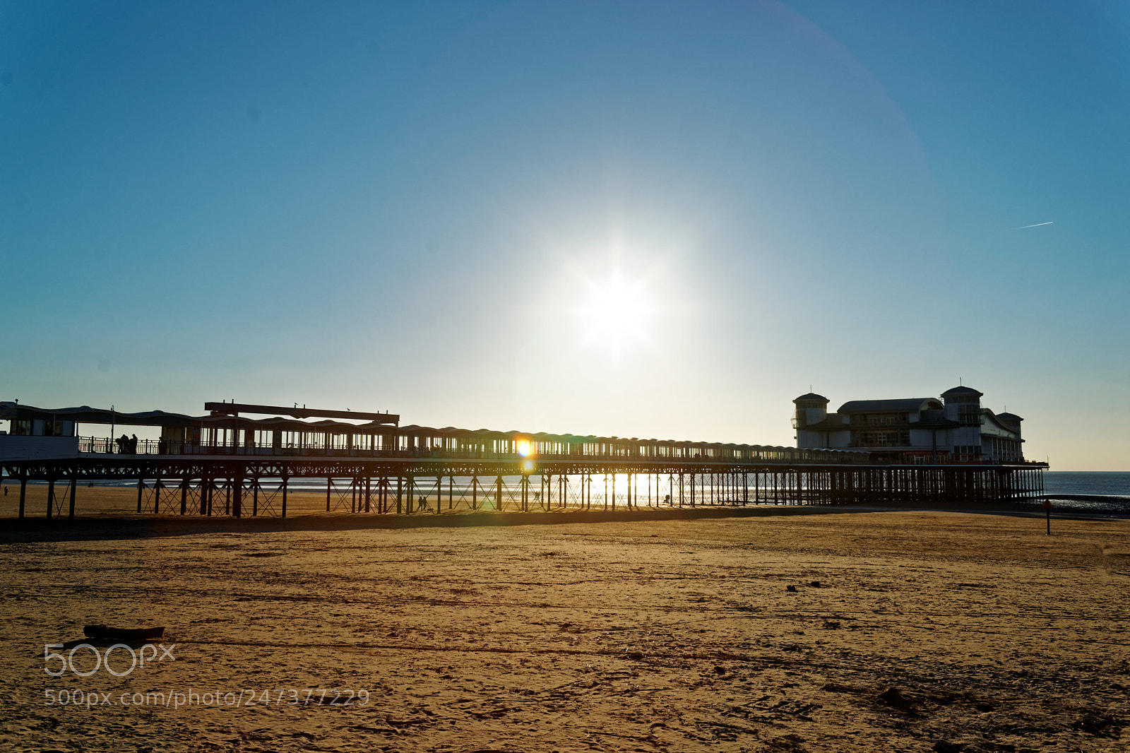 Sony Alpha DSLR-A900 sample photo. A grand day out photography