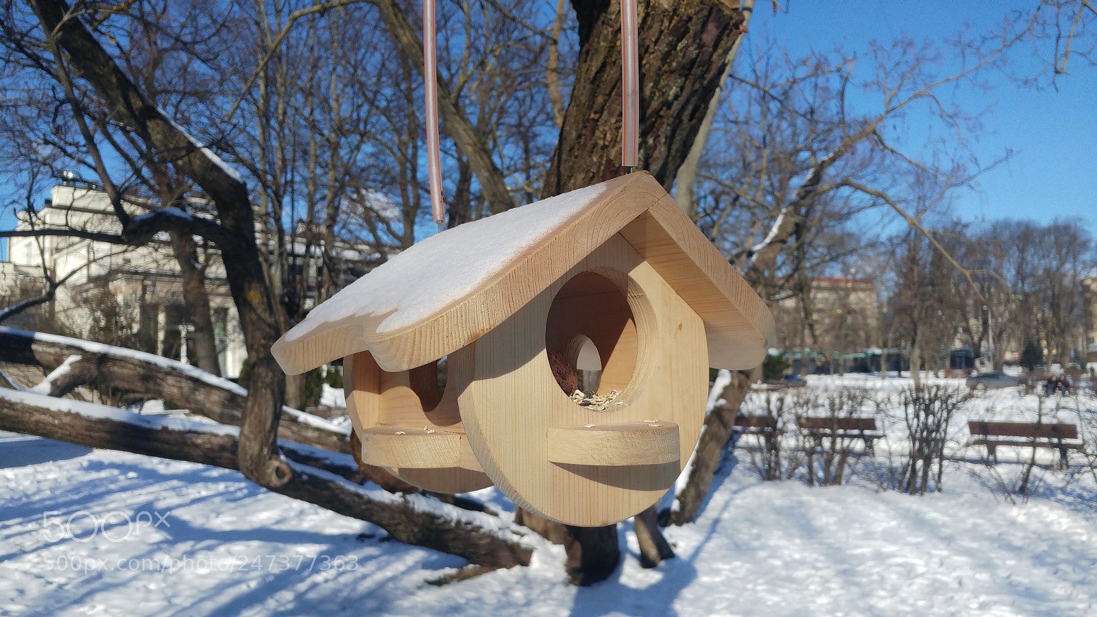 LG G5 sample photo. Wooden bird house photography