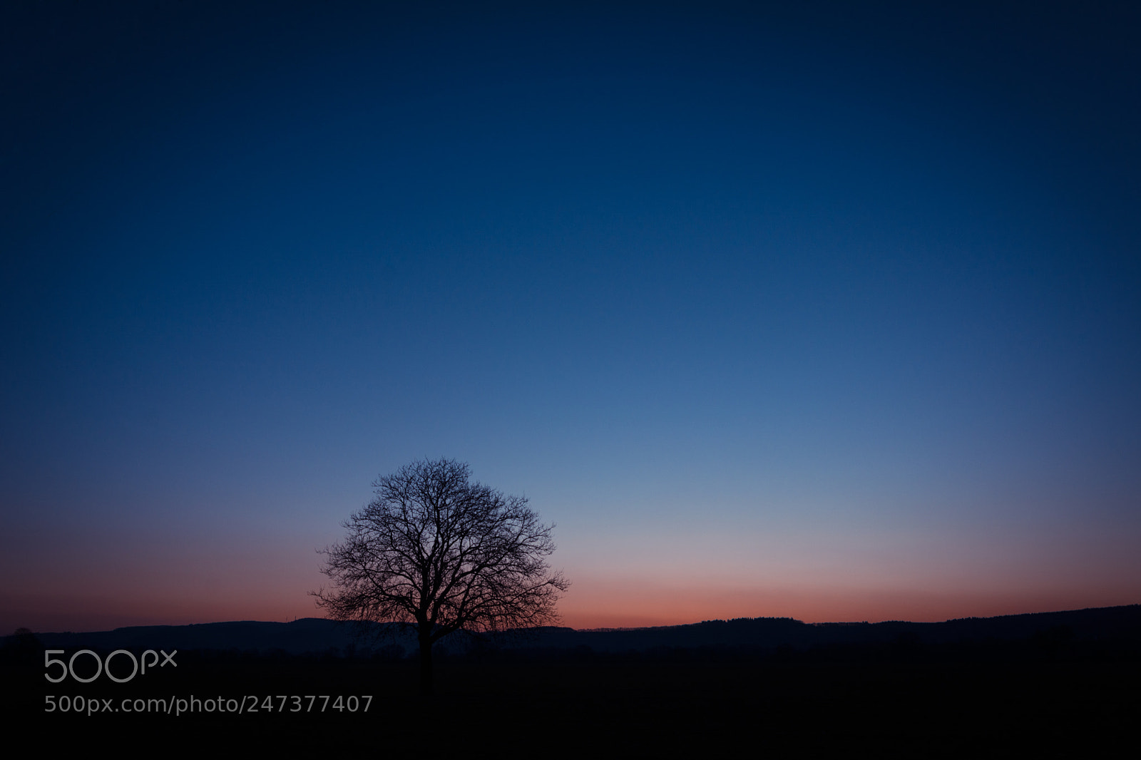 Nikon D7100 sample photo. Sonnenaufgang lr photography
