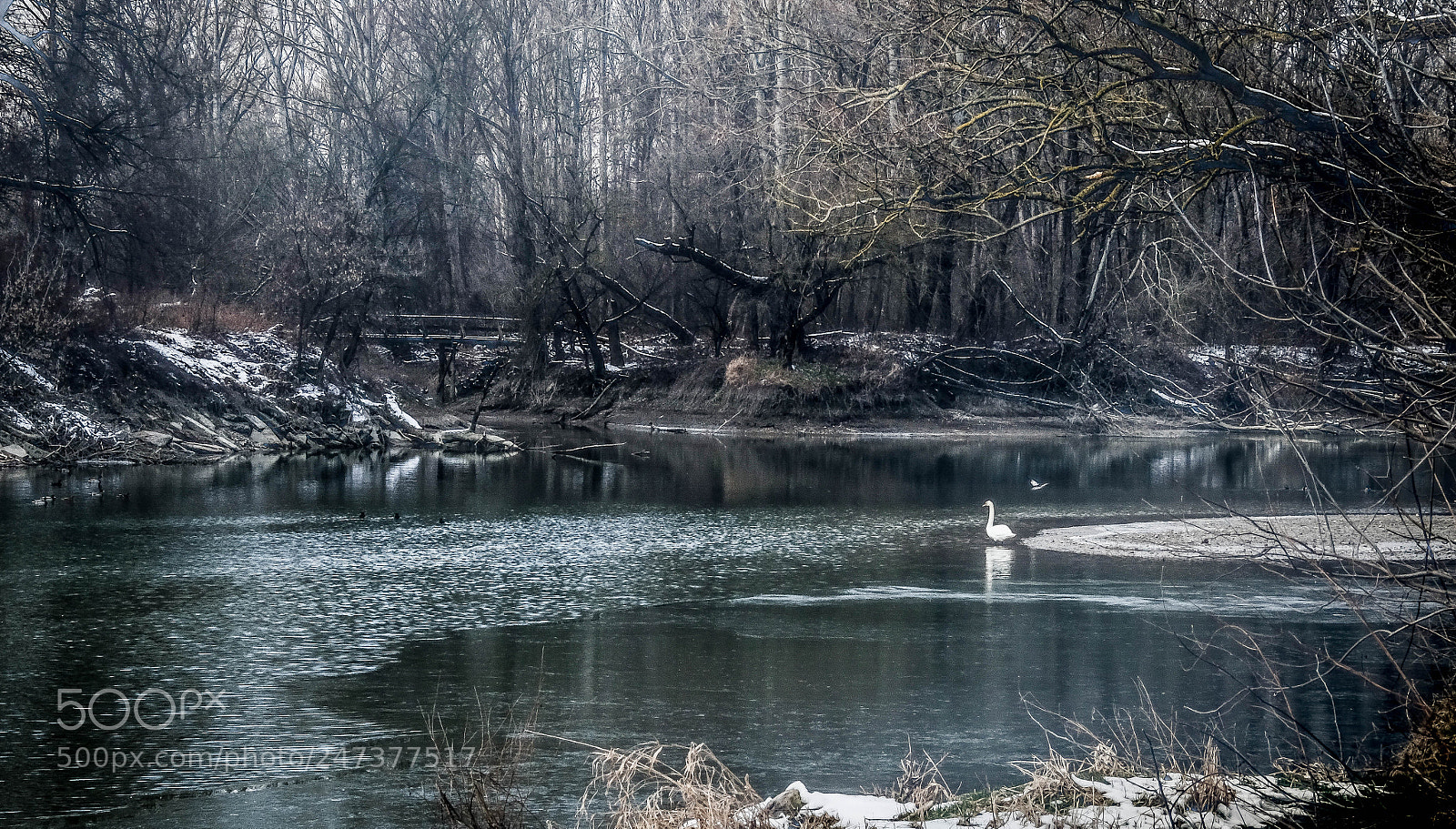 Fujifilm X-T1 sample photo. Moment... photography