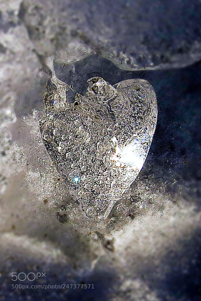 Canon PowerShot SX50 HS sample photo. Iceheart photography
