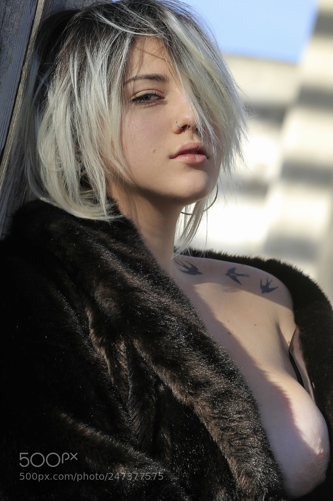 Canon EOS 7D sample photo. Untitled photography